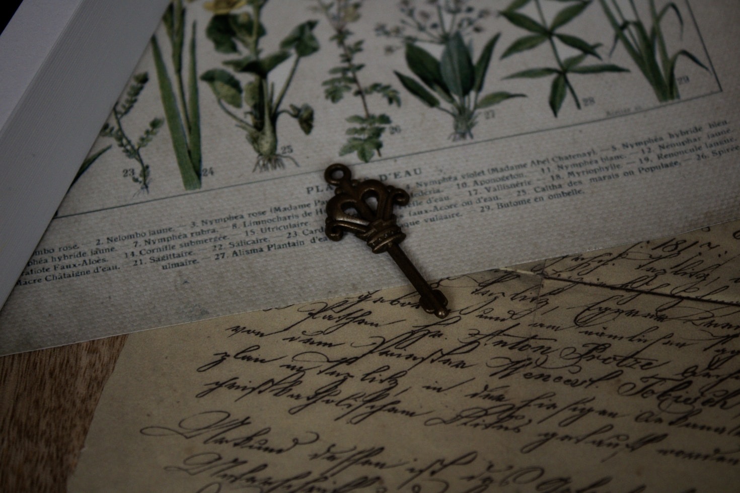 How Writing Unsent Letters Can Heal Your Soul